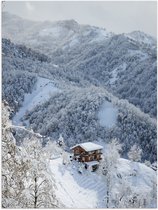 Poster Glanzend – Bergen - Huisje - Sneeuw - Bomen - Wit - 60x80 cm Foto op Posterpapier met Glanzende Afwerking