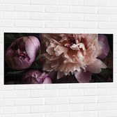 Muursticker - Roze Rozen - 100x50 cm Foto op Muursticker