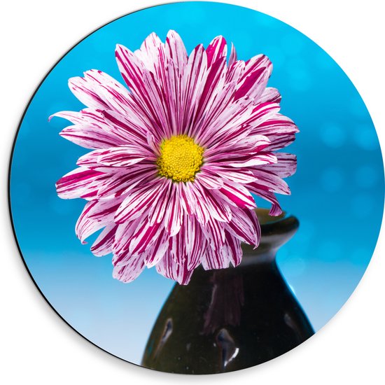 Dibond Muurcirkel - Roze Madeliefje in Zwart Vaasje tegen Blauwe Glitter Achtergrond - 30x30 cm Foto op Aluminium Muurcirkel (met ophangsysteem)
