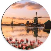 Dibond Muurcirkel - Rij Tulpen aan het Water voor Molens in Nederland - 30x30 cm Foto op Aluminium Muurcirkel (met ophangsysteem)