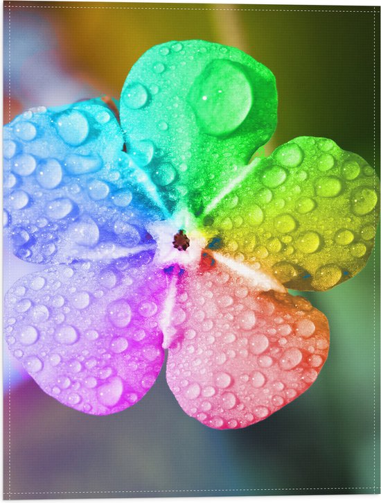 Vlag - Bloem - Druppels - Regenboog - Kleuren - 30x40 cm Foto op Polyester Vlag