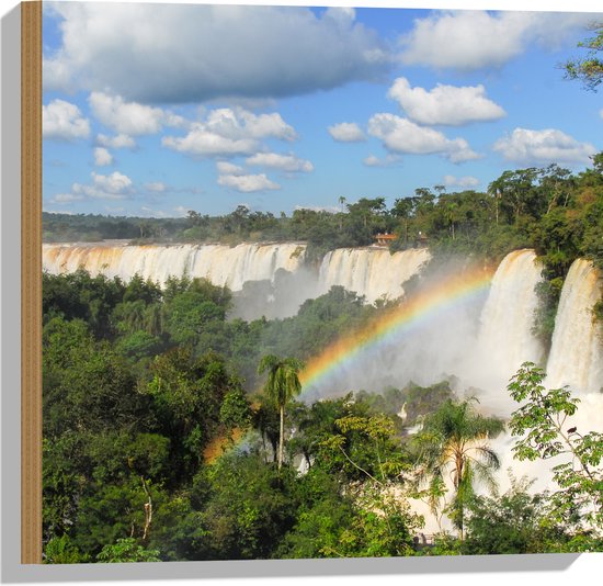 Hout - Regenboog bij Brede Waterval in de Jungle - 50x50 cm - 9 mm dik - Foto op Hout (Met Ophangsysteem)