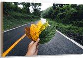 Hout - Van Bruin naar Groen Blad in Mensenhand - 120x80 cm - 9 mm dik - Foto op Hout (Met Ophangsysteem)