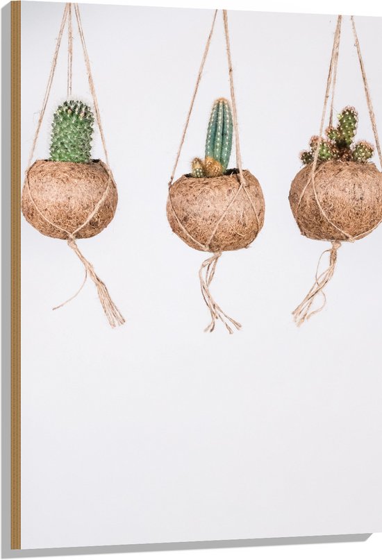 Hout - Planten - Cactussen - Bloempotten - Hangen - Groen - Bruin - Wit - 70x105 cm - 9 mm dik - Foto op Hout (Met Ophangsysteem)