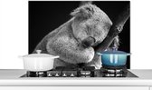 Spatscherm keuken 80x55 cm - Kookplaat achterwand Slapende koala op zwarte achtergrond in zwart-wit - Muurbeschermer - Spatwand fornuis - Hoogwaardig aluminium
