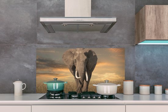 Spatscherm keuken 120x60 cm - Kookplaat achterwand Olifant - Dieren - Gras - Natuur - Muurbeschermer - Spatwand fornuis - Hoogwaardig aluminium