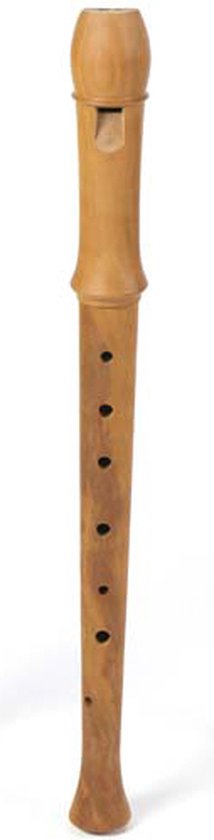 Flûte à bec soprano Meinel en bois avec Specter spectrale - Flûte à bec en  bois