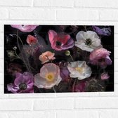 Muursticker - Boeket van Stilleven in Witte en Roze Kleuren - 60x40 cm Foto op Muursticker