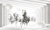Horses White Spheres Photo Wallcovering