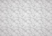 Lace Pattern Light Grey Photo Wallcovering