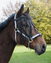 Frontal anti-mouches Taille du cheval: Cob