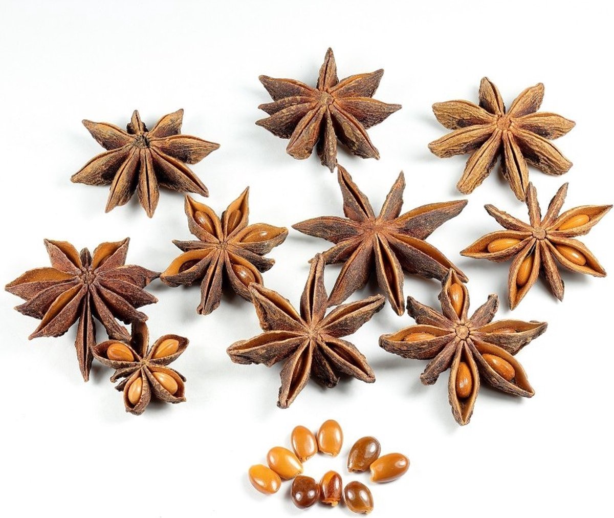 Badian Star Aniseeds - Badian Steranijs zaad - 50gr - INDIA