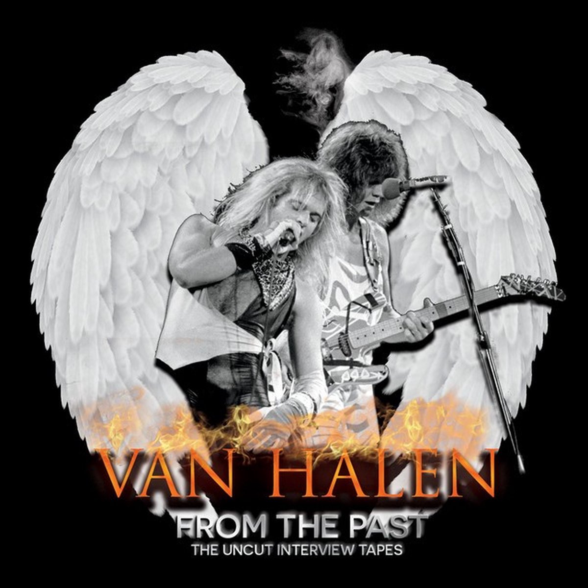 Van Halen - From the Past (The Uncut Interview Tapes) (CD)
