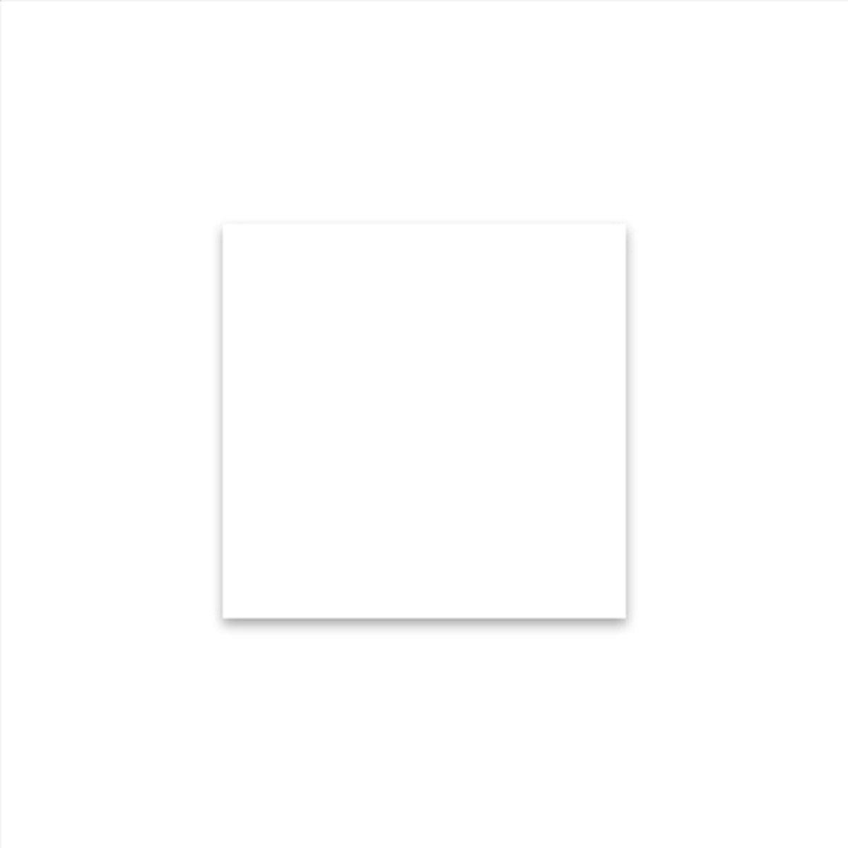 Vetvrij wikkelpapier of hamburgervellen wit 31x31 cm | Inhoud: 1000 stuks