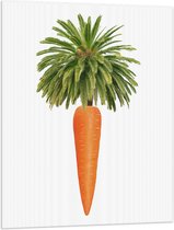 Vlag - Wortel aan Palmboom Bladeren tegen Witte Achtergrond - 75x100 cm Foto op Polyester Vlag