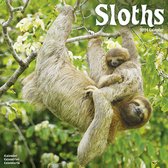 Luiaard / Sloths Kalender 2024