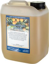Massageolie Orange 10 Liter - 100% natuurlijk - biologisch en koud geperst