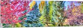 Tuinposter – Parkje - Bomen - Bloemen - Planten - Bankje - Kleuren - 150x50 cm Foto op Tuinposter (wanddecoratie voor buiten en binnen)