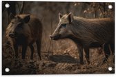 Tuinposter – Bruine zwijnen in een bos omgeving - 60x40 cm Foto op Tuinposter (wanddecoratie voor buiten en binnen)
