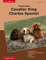Traumrasse: Cavalier King Charles Spaniel