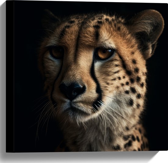 Canvas - Cheetah close up met zwarte achtergrond - 40x40 cm Foto op Canvas Schilderij (Wanddecoratie op Canvas)