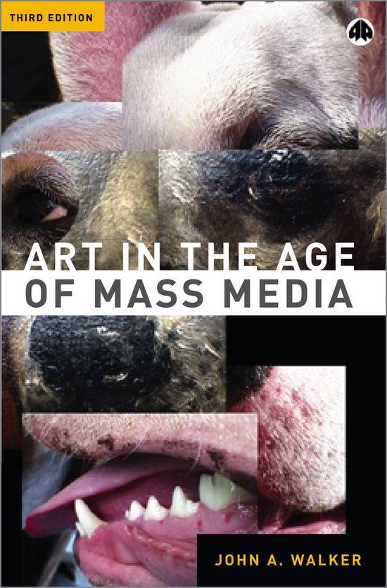 9780745317441 - Art In The Age Of Mass Media 3rd