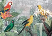 Fotobehang - Vlies Behang - Papegaaien in de Jungle - 416 x 254 cm