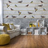 Fotobehang - Vlies Behang - Vogels op Gouden Lijnen - 208 x 146 cm
