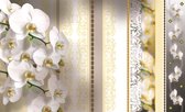 Fotobehang - Vlies Behang - Orchideeën Kunst Beige - Bloemen - 368 x 254 cm