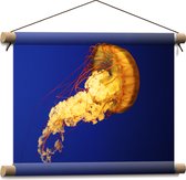 Textielposter - Feloranje Kwal Zwemmend door de Donkerblauwe Zee - 40x30 cm Foto op Textiel