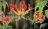 Fotobehang - Vlies Behang - Rode Bloemen op Houten Planken - 208 x 146 cm