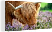 Peinture sur toile Highlander écossais - Herbe - Bruyère - Animaux - 160x80 cm - Décoration murale