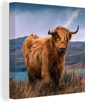 Canvas Schilderij Schotse hooglander - Lucht - Natuur - 50x50 cm - Wanddecoratie