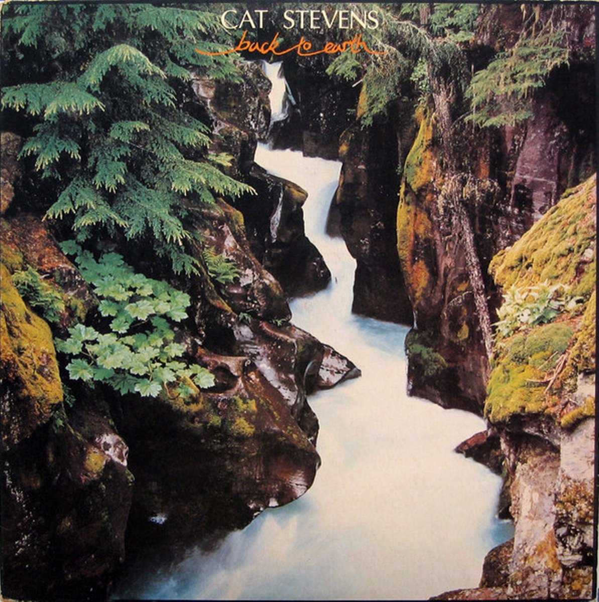 Back To Earth (LP)