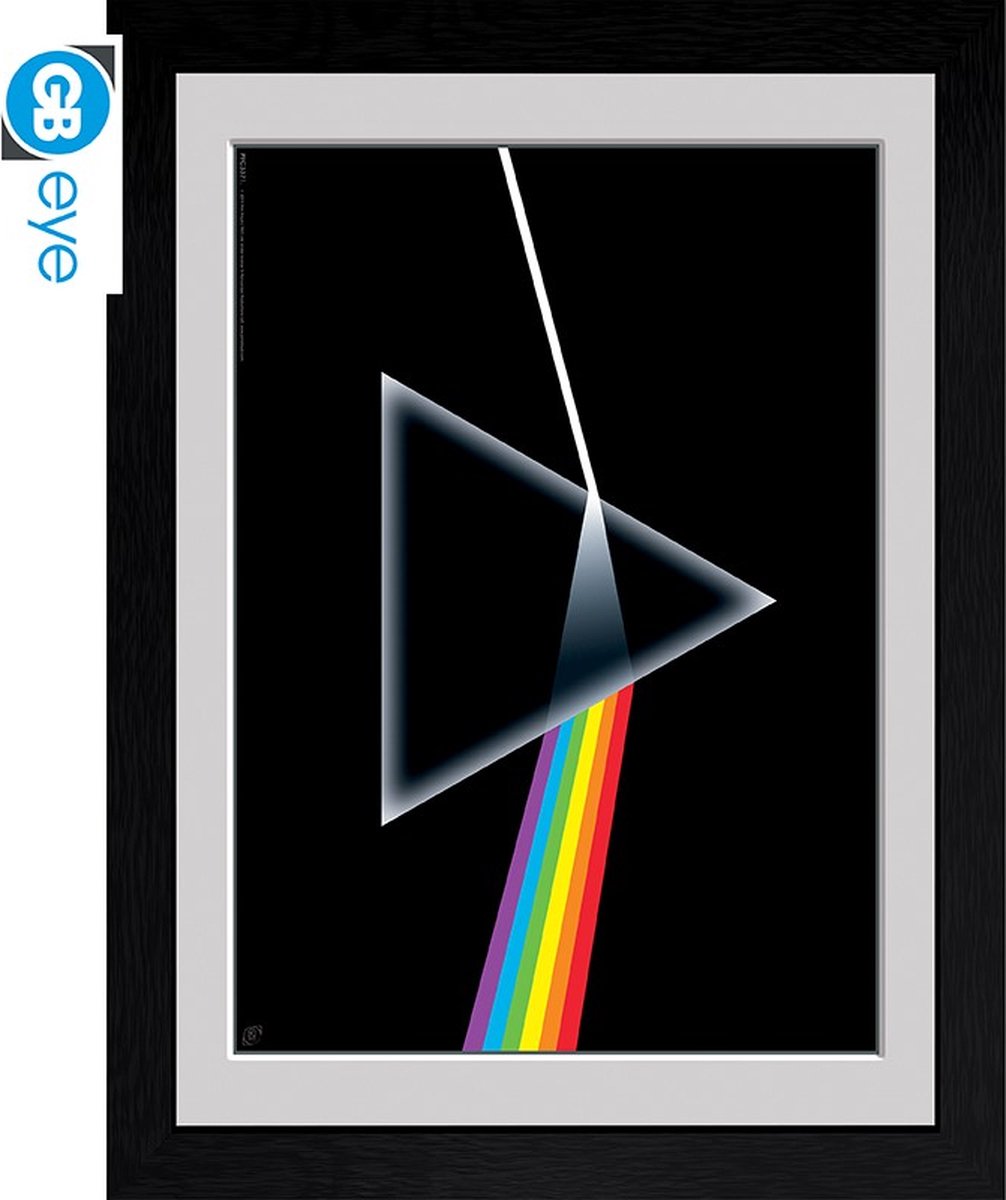Pink Floyd Dark Side Of The Moon Unisex Poster - Neutraal - Standard