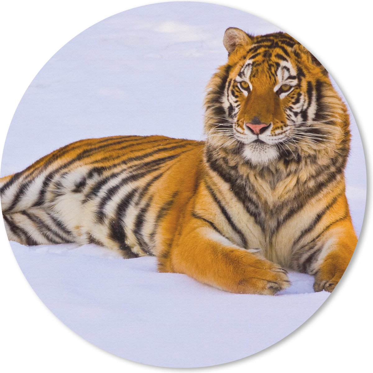 Muismat rond 40x40 cm - Mousepad Tijger - Sneeuw - Winter - Dieren - Ronde muismatten
