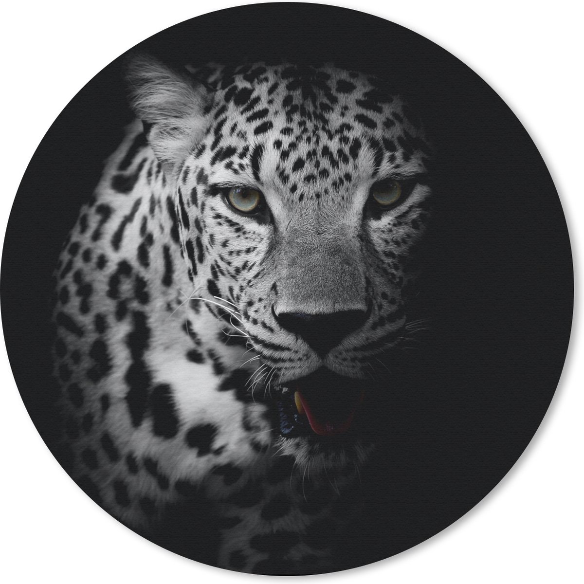 Muismat rond 20x20 cm - Mousepad Dieren - Zwart - Wit - Panter - Portret - Ronde muismatten