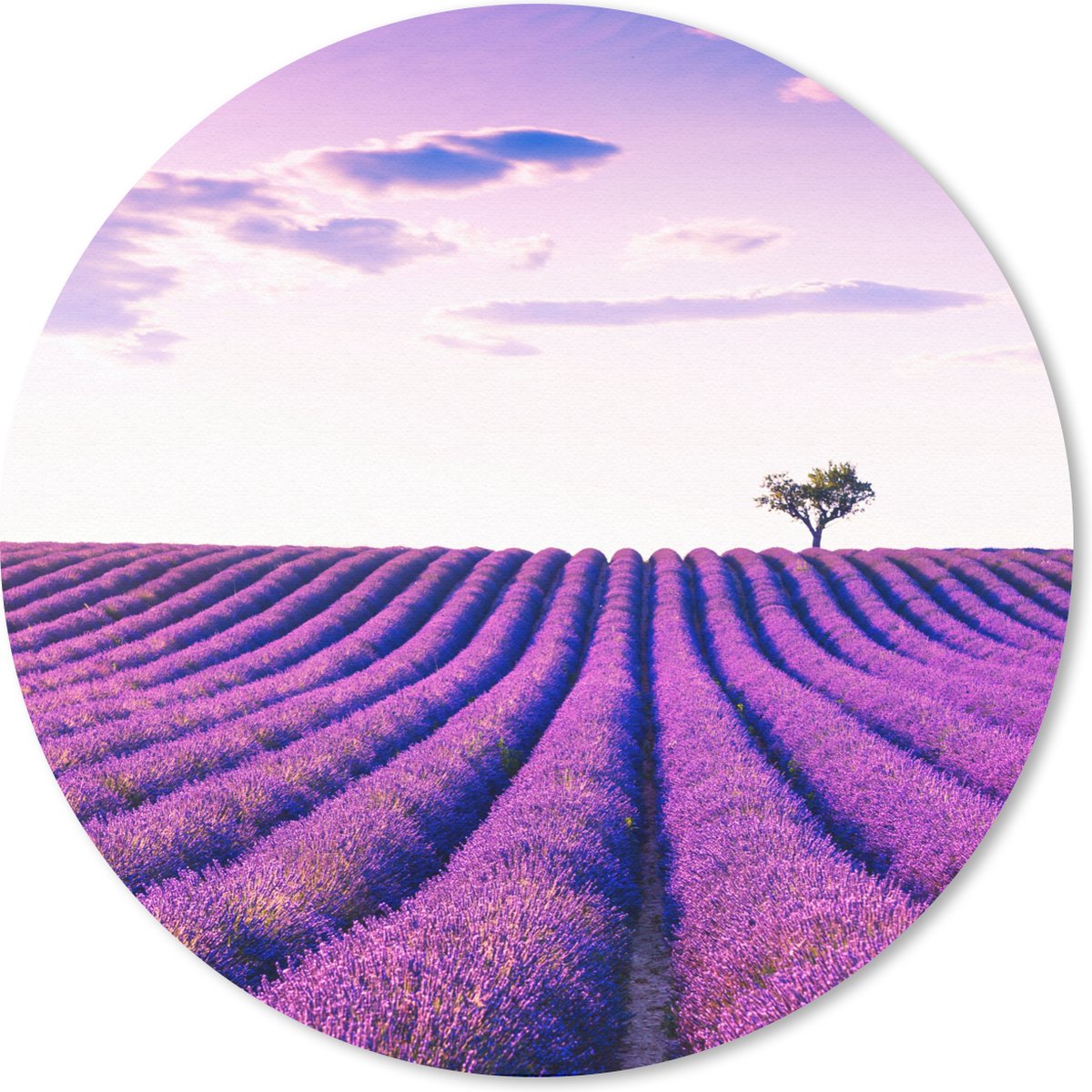 Muismat rond 30x30 cm - Mousepad Lavendel - Bomen - Paars - Bloemen - Ronde muismatten