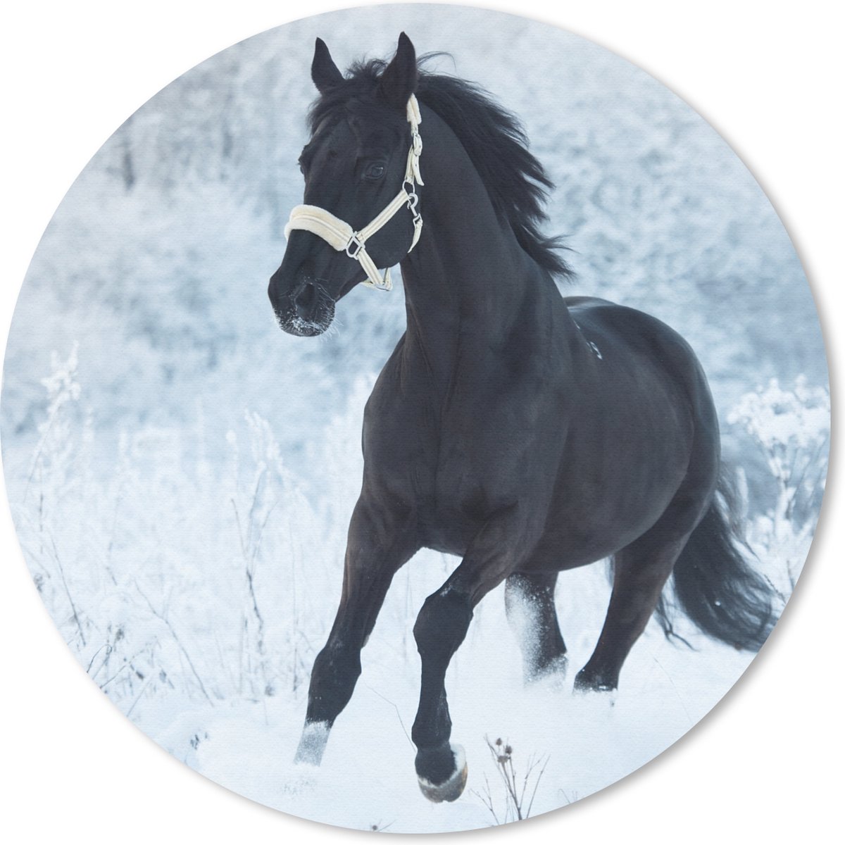 Muismat rond 40x40 cm - Mousepad Paard - Sneeuw - Bos - Ronde muismatten