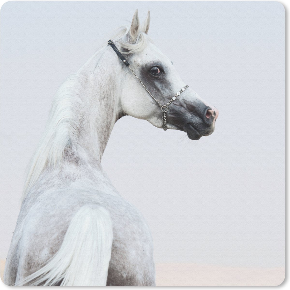 Muismat 30x30 cm - Mousepad Paard - Zand - Pastel - Muismatten