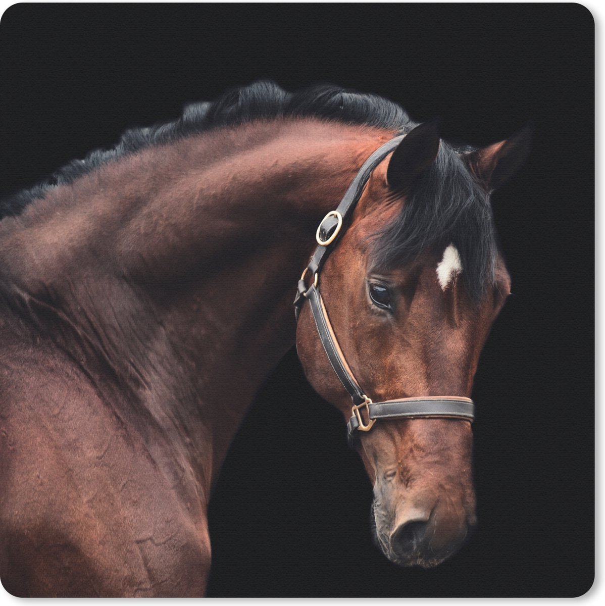 Muismat 20x20 cm - Mousepad Paard - Licht - Halster - Muismatten