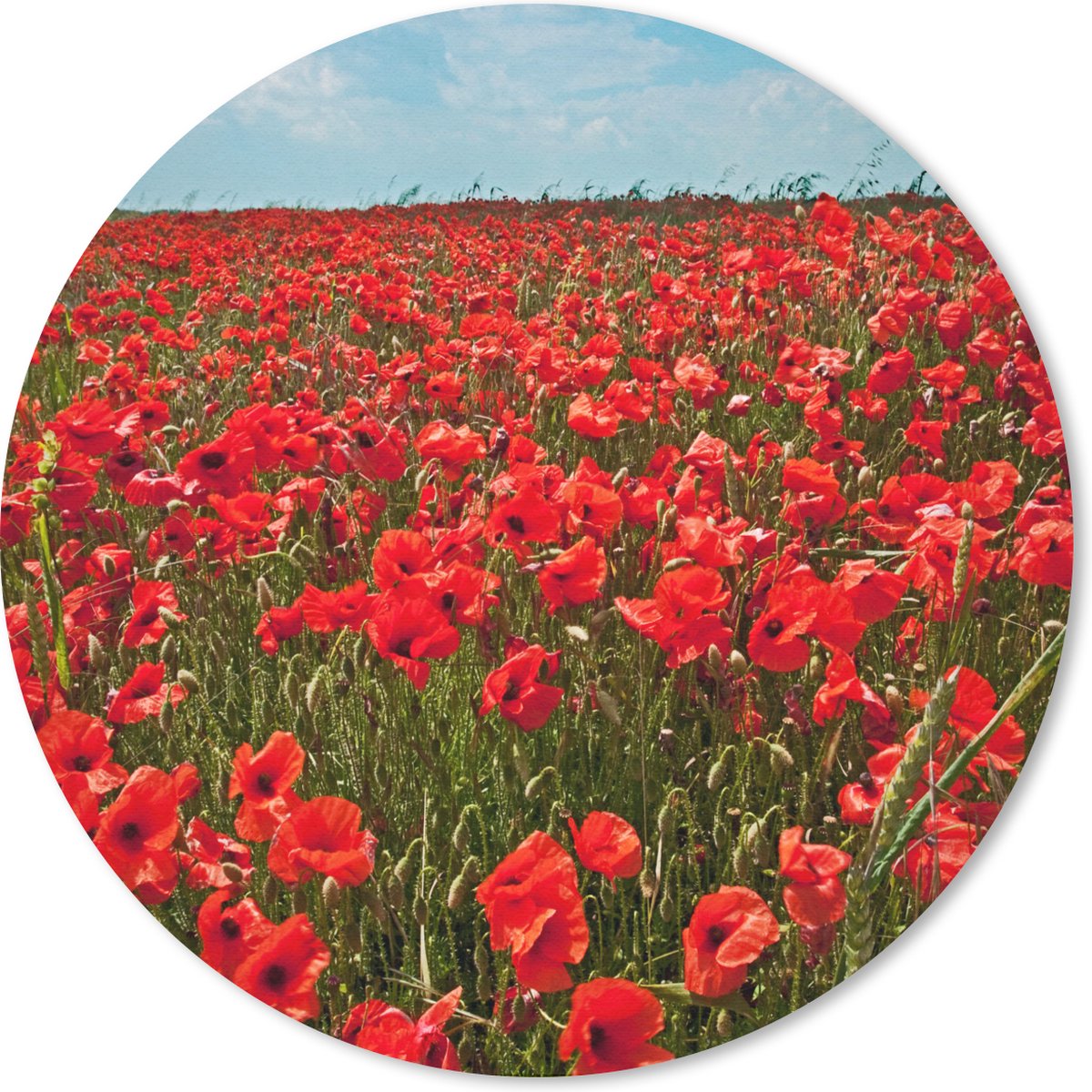Muismat rond 20x20 cm - Mousepad Een weiland vol met klaprozen - Ronde muismatten