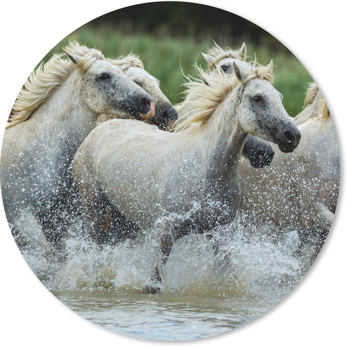 Muismat rond 20x20 cm - Mousepad Paarden - Water - Natuur - Ronde muismatten
