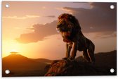 Tuinposter – Leeuw op Rots met Zonsondergang - 60x40 cm Foto op Tuinposter (wanddecoratie voor buiten en binnen)