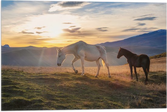 Vlag - Paarden in Weiland met Zonsopgang - 60x40 cm Foto op Polyester Vlag