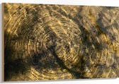 Hout - Vies Water met Regendruppels - 120x80 cm - 9 mm dik - Foto op Hout (Met Ophangsysteem)
