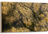 Hout - Vies Water met Regendruppels - 105x70 cm - 9 mm dik - Foto op Hout (Met Ophangsysteem)