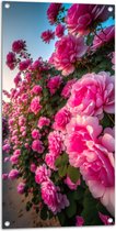 Tuinposter – Roze Rozen in Wand - 50x100 cm Foto op Tuinposter (wanddecoratie voor buiten en binnen)