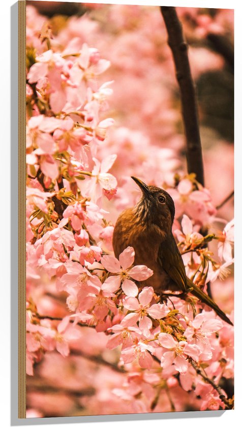 Hout - Bloemen - Dieren - Vogel - Kleuren - 50x100 cm - 9 mm dik - Foto op Hout (Met Ophangsysteem)