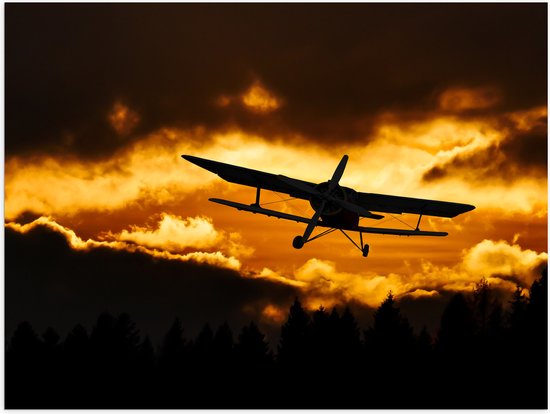 Poster (Mat) - Silhouet van Stuntvliegtuig boven de Bomen tijdens Zonsondergang - 40x30 cm Foto op Posterpapier met een Matte look